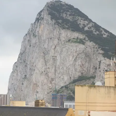 Monkey La Linea de la Concepcion